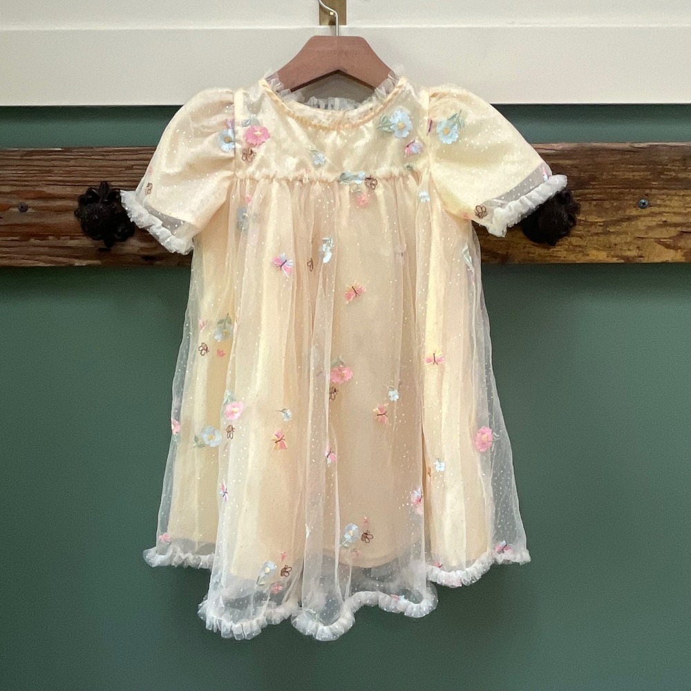 Audrey Camille Girls 4T Yellow Tulle Butterfly Floral Embroidered Party Dress